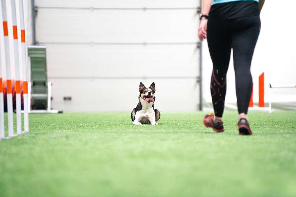 AVA3 & Seuratoiminta