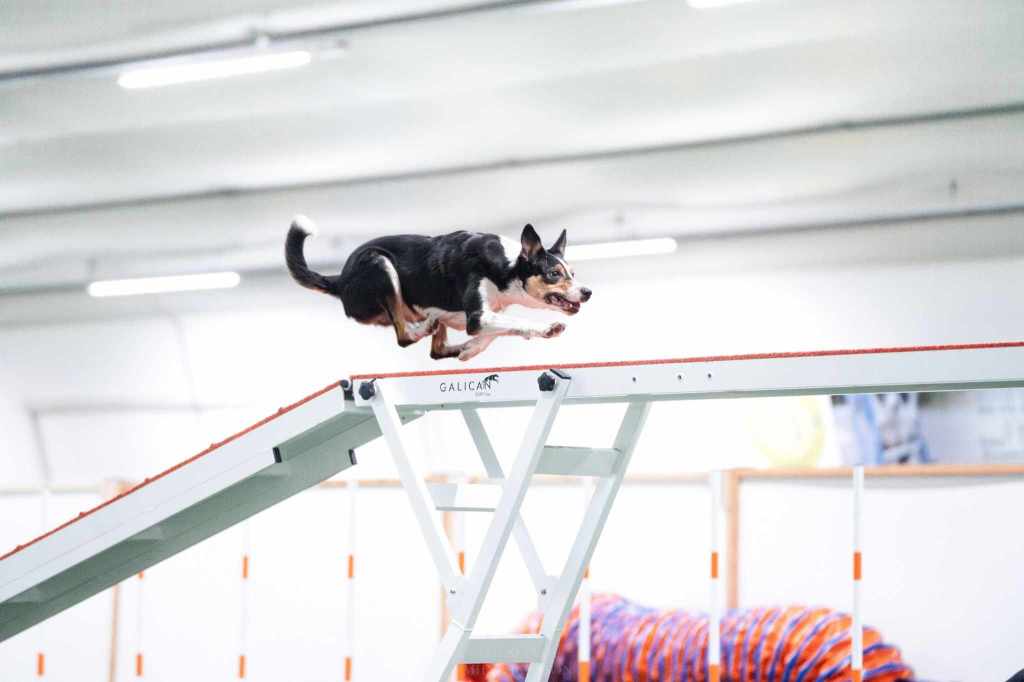 JUOKSARI VAI PYSÄRI? 